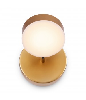 Спот Freya FR10009CW-L6MG-foto2