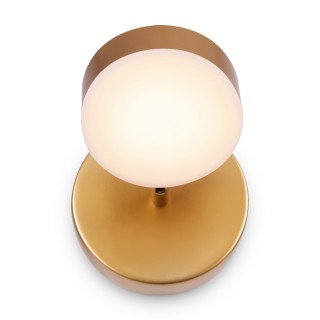 Спот Freya FR10009CW-L6MG-foto2