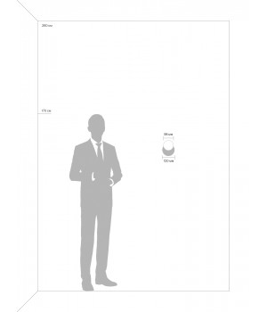 Спот Freya FR10009CW-L6MG-foto5