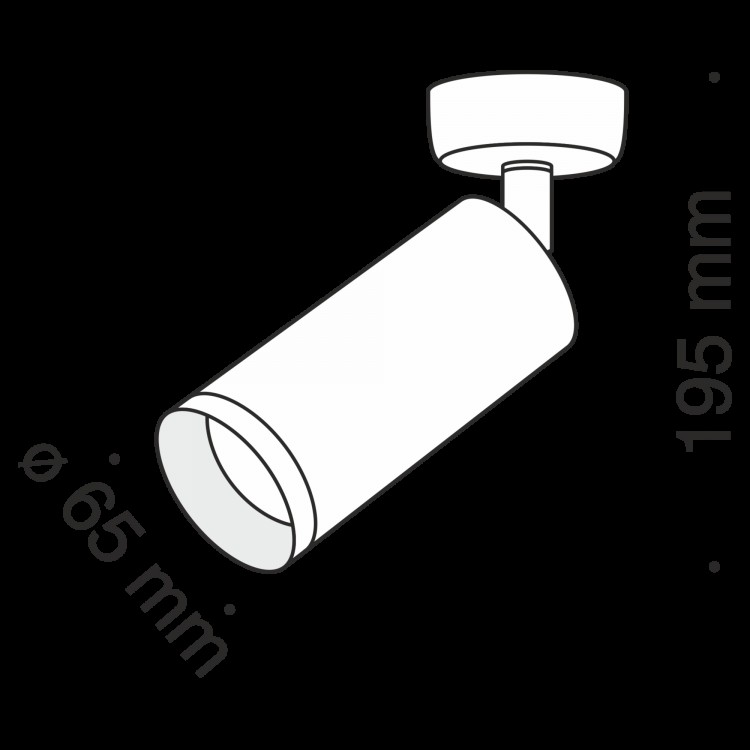 Потолочный светильник Technical C017CW-01RG