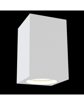 Потолочный светильник Technical C011CL-01W-foto5