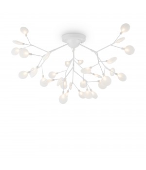 Потолочный светильник Freya FR5049CL-36W1-foto2