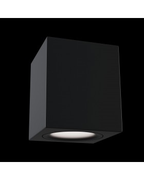 Потолочный светильник Technical C013CL-01B-foto4