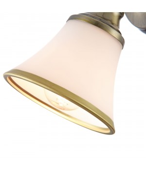 Спот Freya FR2272-WL-01-BS-foto7