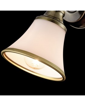 Спот Freya FR2272-WL-01-BS-foto4