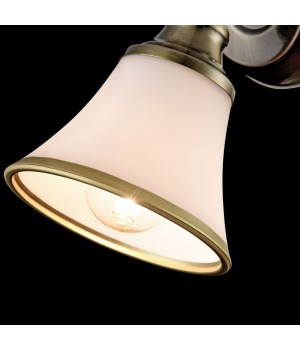 Спот Freya FR2272-WL-01-BS-foto4