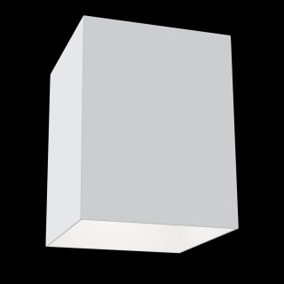 Потолочный светильник Technical C015CL-01W-foto3