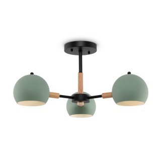 Потолочный светильник Freya FR5032CL-03B-foto2