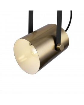 Подвесной светильник Freya FR4004PL-01BBS-foto2