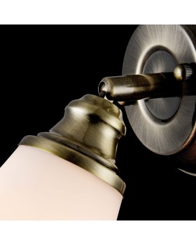 Спот Freya FR2272-WL-01-BS-foto3