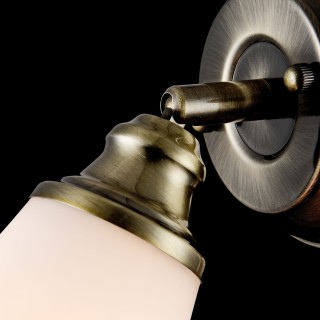 Спот Freya FR2272-WL-01-BS-foto3