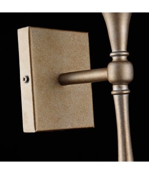 Настенный светильник (бра) Maytoni H425-WL-01-G-foto7