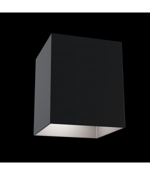 Потолочный светильник Technical C015CL-01B-foto5