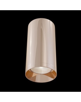 Потолочный светильник Technical C010CL-01RG-foto2