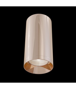 Потолочный светильник Technical C010CL-01RG-foto2