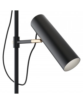 Напольный светильник (торшер) Maytoni MOD129FL-01B-foto2