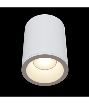 Потолочный светильник Technical C029CL-01W-foto2