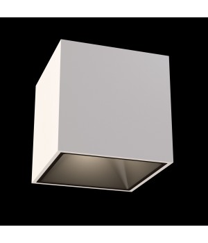 Потолочный светильник Technical C065CL-L12W4K-foto5