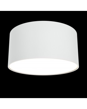 Потолочный светильник Technical C032CL-L12W3K-foto4