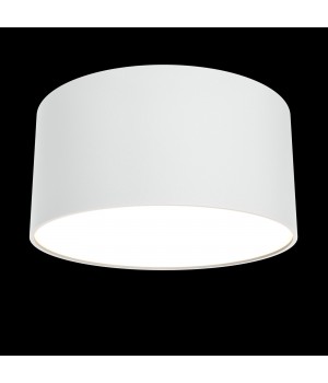 Потолочный светильник Technical C032CL-L12W3K-foto4