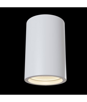 Потолочный светильник Technical C003CW-01W-foto4