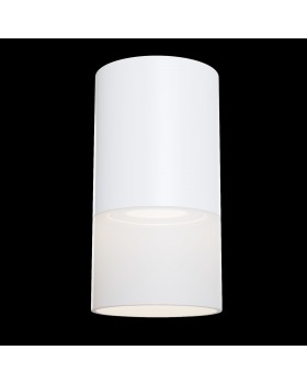 Потолочный светильник Technical C007CW-01W-foto2