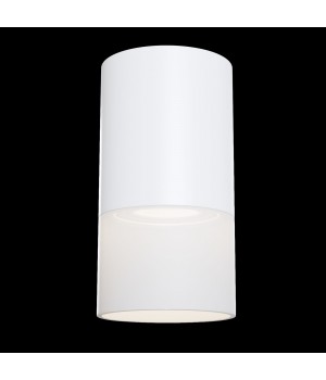 Потолочный светильник Technical C007CW-01W-foto2