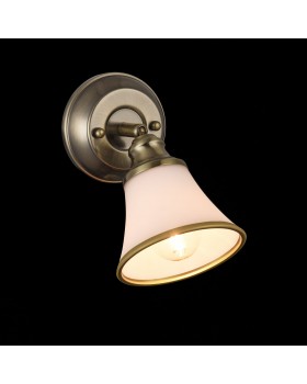 Спот Freya FR2272-WL-01-BS-foto2