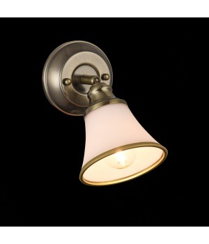 Спот Freya FR2272-WL-01-BS-foto2