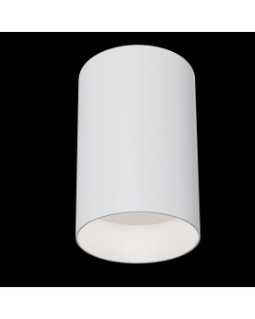 Потолочный светильник Technical C014CL-01W-foto3