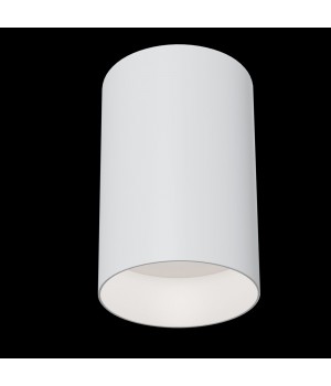 Потолочный светильник Technical C014CL-01W-foto3