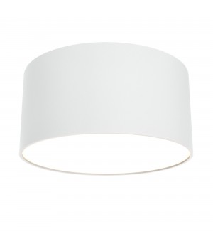 Потолочный светильник Technical C032CL-L12W3K-foto5