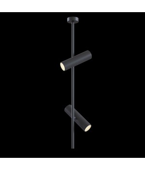 Потолочный светильник Technical C021CL-02B-foto4