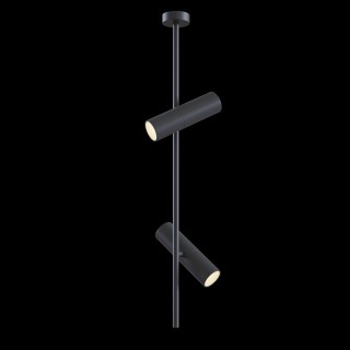 Потолочный светильник Technical C021CL-02B-foto4