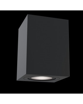 Потолочный светильник Technical C017CL-01B-foto3