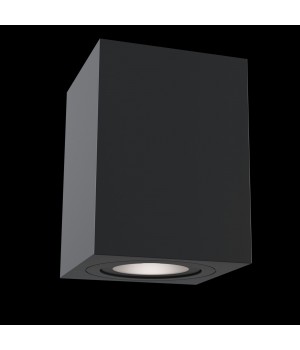 Потолочный светильник Technical C017CL-01B-foto3