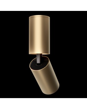 Потолочный светильник Technical C051CL-01G-foto6