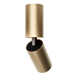 Потолочный светильник Technical C051CL-01G-foto5