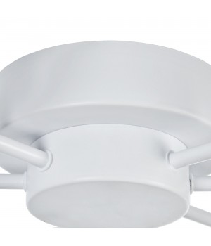 Потолочный светильник Maytoni MOD809-CL-06-72-W-foto6