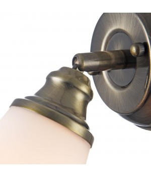 Спот Freya FR2272-WL-01-BS-foto5