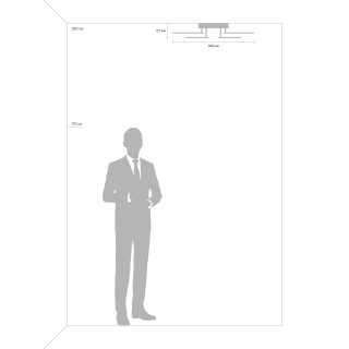 Потолочный светильник Freya FR10016CL-L72W-foto4