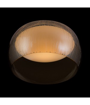 Потолочный светильник Maytoni MOD074CL-L13B3K-foto3