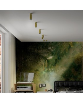 370762 OVER NT21 212 золото Светильник накладной, провод 2м IP20 GU10 50W 220V MAIS-foto4