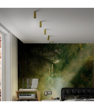 370762 OVER NT21 212 золото Светильник накладной, провод 2м IP20 GU10 50W 220V MAIS-foto4