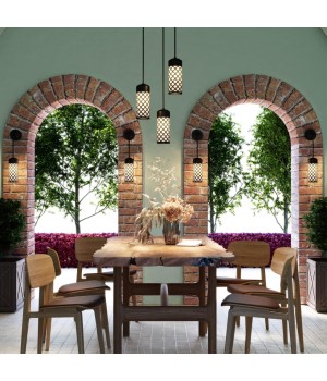 4834/1 NATURE ODL21 575 черный/стекло Ландшафтный светильник-подвес E27 1*60W IP44 DUNES-foto3