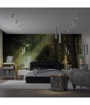 370761 OVER NT21 212 белый Светильник накладной, провод 2м IP20 GU10 50W 220V MAIS-foto3