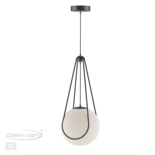 4268/1 MODERN ODL21 339 черн с зол/бел. мат. акрил Подвесной светильник Е14 1*40W CAROL-foto4