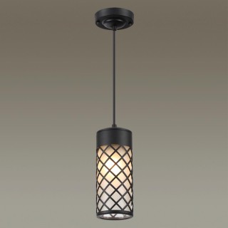 4834/1 NATURE ODL21 575 черный/стекло Ландшафтный светильник-подвес E27 1*60W IP44 DUNES-foto4