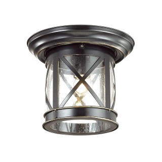 4045/1C NATURE ODL18 587 черный/зол.патина Уличный потолочный светильник IP44 E27 60W 220V SATION-foto4