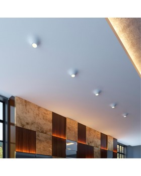 370495 SPOT NT19 153 белый Встраиваемый под покраску светильник IP20 GU10 50W 220V CAIL-foto3